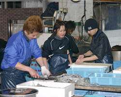 森本商店 画像