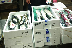 木村（康）商店 画像