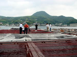 研修視察旅行の画像2