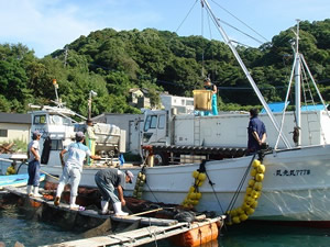 ふぐ養殖場視察の画像1