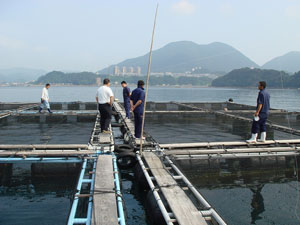 養殖場視察の画像3