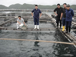養殖場視察の画像1